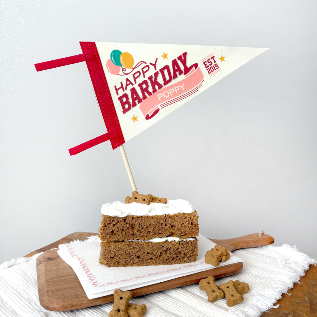 Dog birthday cake with 'Happy Barkday' sign on a white background