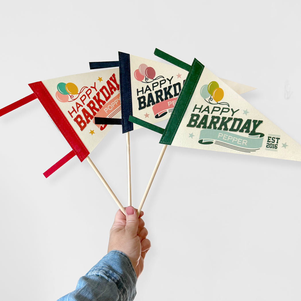 Hand holding 'Happy Barkday' party flags on a white background