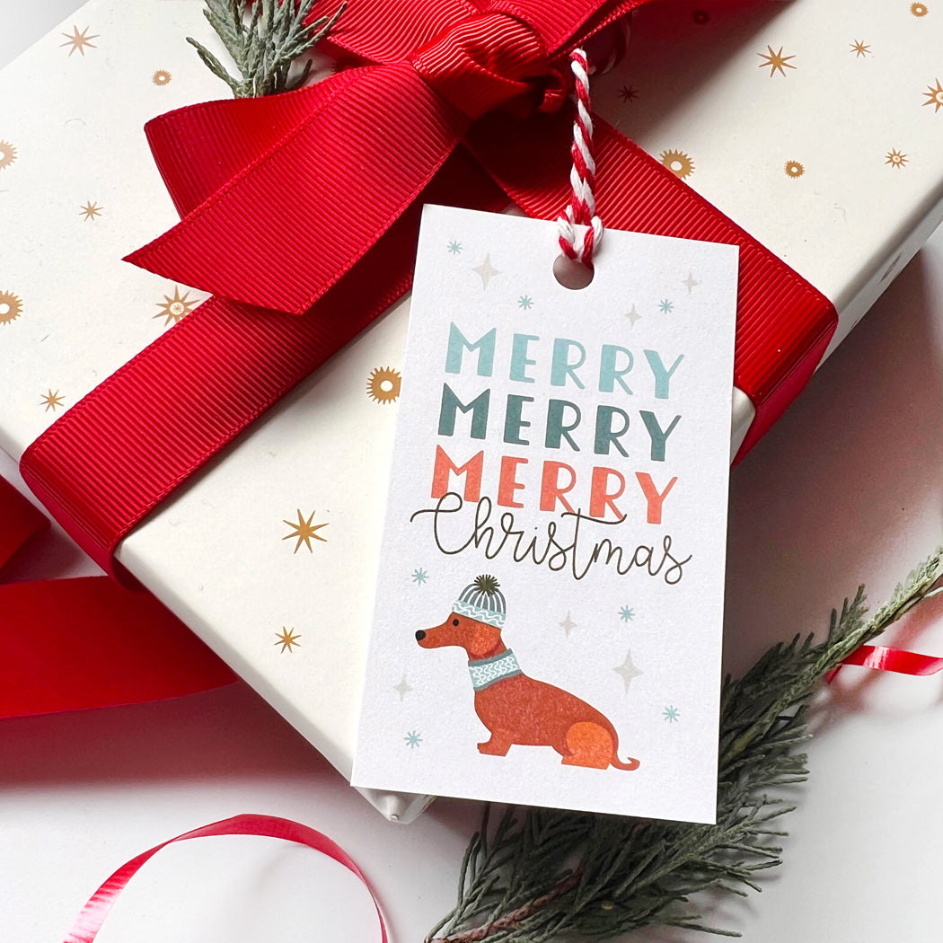 Gift wrapped in white paper with a red ribbon and a 'Merry Christmas' tag featuring a dog illustration.