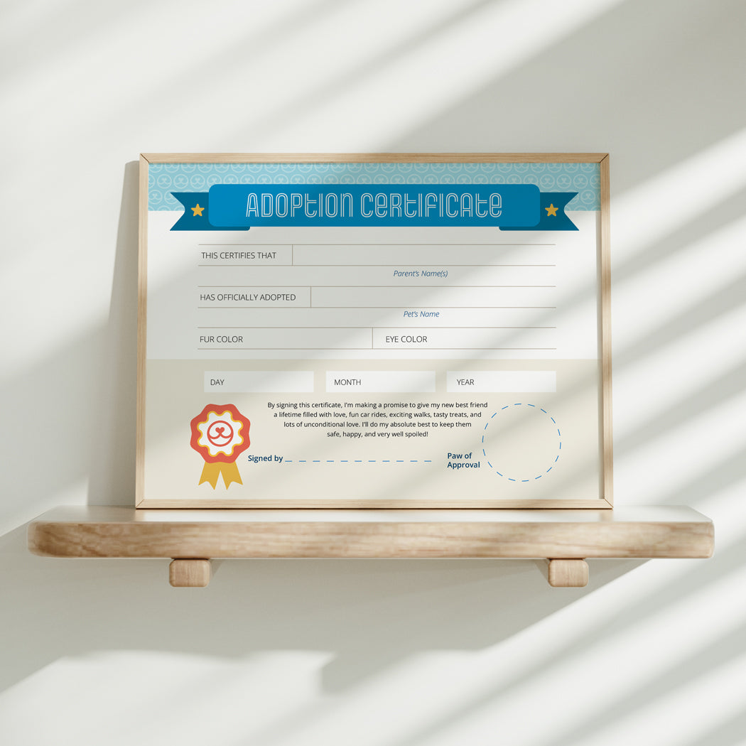 Framed Dog Adoption Certificate commemorating new pet adoption.