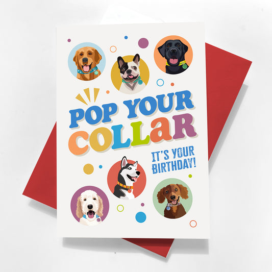 Funny dog birthday card – ‘Pop Your Collar, It’s Your Birthday’ greeting card for pet lovers and dog owners.