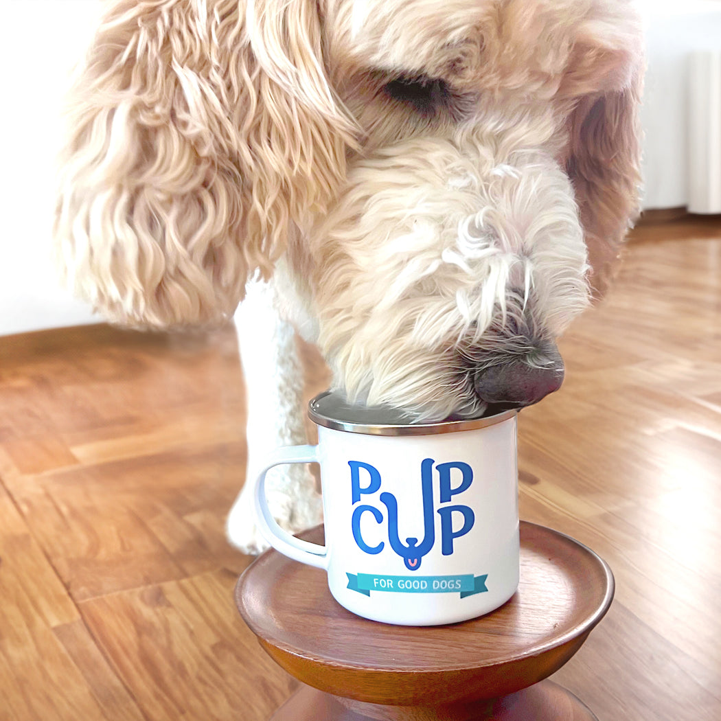 Give your pup a delicious and wholesome treat with the Pup Cup.