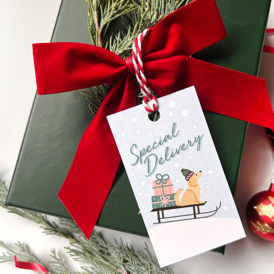 Gift box with a red ribbon and 'Special Delivery' tag featuring a dog and presents.