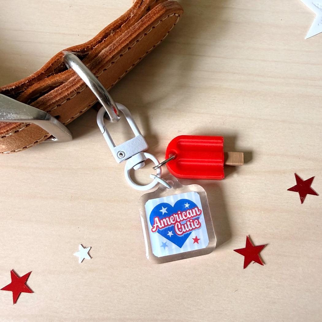 American Cutie dog collar charm with red popsicle design attached to a dog's collar.