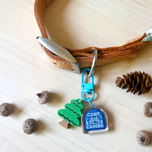 A tan leather dog collar with a silver metal clasp, decorated with a bright blue 'Camp Canine' acrylic tag and a green tree charm, displayed on a light wood surface with pinecones and acorns.