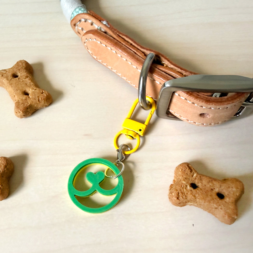 Dog Nose dog collar charm attached to a colorful dog collar