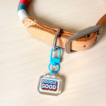 A close-up of a tan leather collar with a colorful striped section and a silver buckle, featuring a bright blue clip holding a clear square tag that reads 'DOODLE GOOD' in blue letters with a red and yellow outline.
