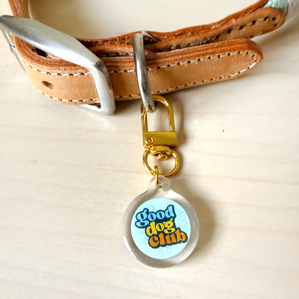 A close-up of a tan leather dog collar with a silver buckle and a gold-tone clasp holding a round clear plastic tag that reads 'Good dog club' in blue and orange lettering on a light blue background.