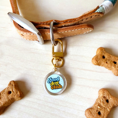 A tan leather dog collar with a gold-tone clasp and a round clear pendant that reads 'Good dog club' on a light blue background, styled on a light wood surface with bone-shaped treats.