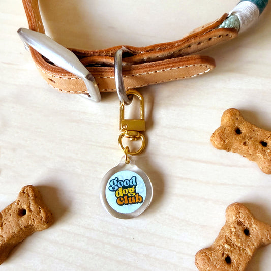 A tan leather dog collar with a gold-tone clasp and a round clear pendant that reads 'Good dog club' on a light blue background, styled on a light wood surface with bone-shaped treats.