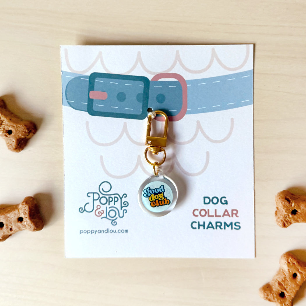 A round dog collar charm with a gold clasp and a colorful 'Cloud Dog Club' logo, displayed on its white branded backing card. The card features a blue and pink illustrated collar graphic, with decorative dog treats placed around it on a light wood surface.