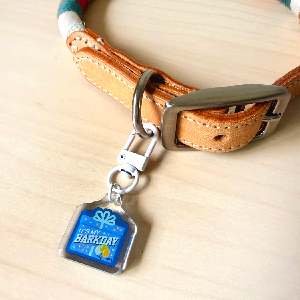 A close-up of a tan leather dog collar with a silver metal buckle and a clear plastic ID tag hanging from a silver clasp. The ID tag has a blue background with white text reading 'IT'S UP EARTHAY'.