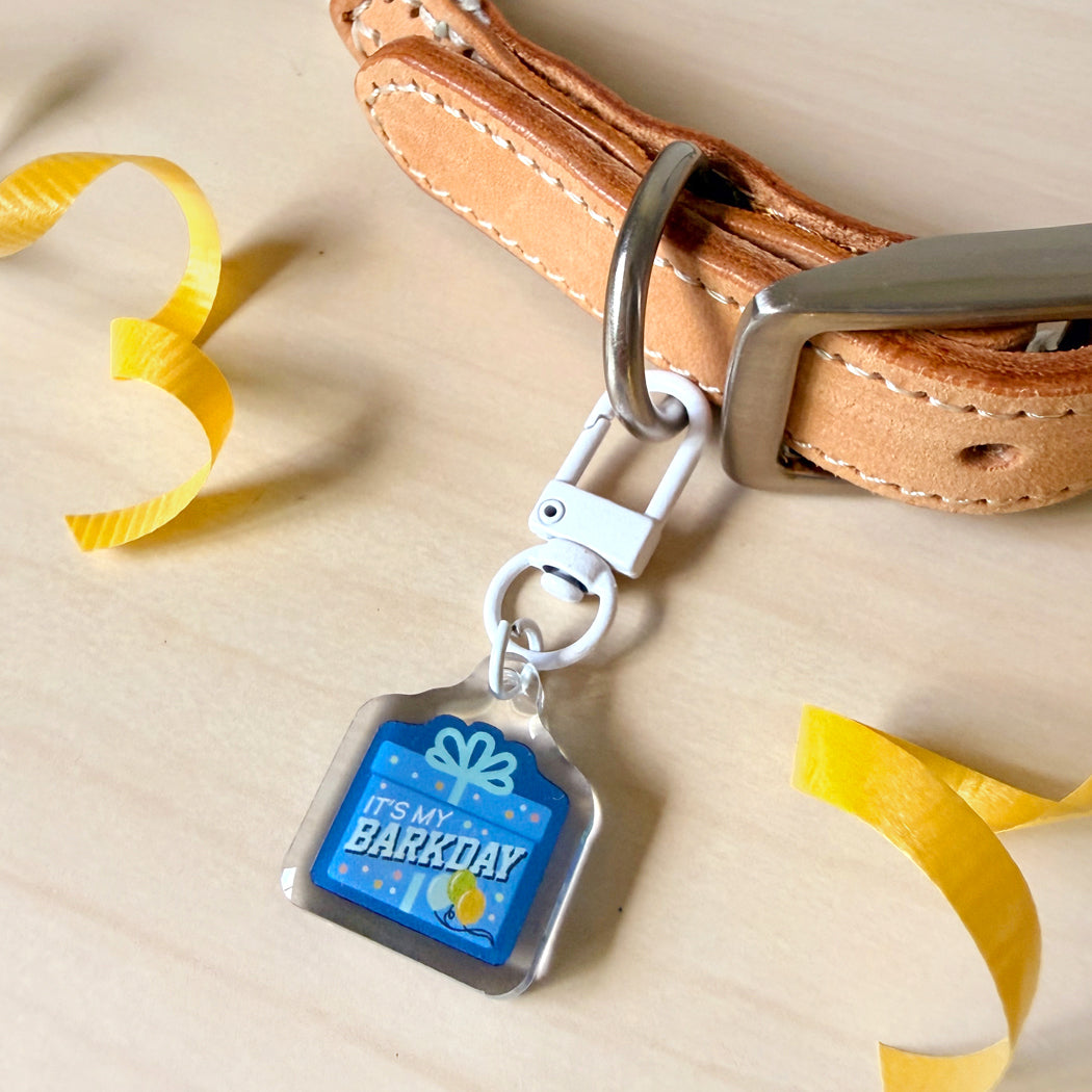 A close-up of a tan leather collar with a silver metal buckle and keyring, holding a small gift-tag-shaped blue tag that reads 'IT'S MY BIRTHDAY.' Yellow ribbon curls are placed on a light wood surface around the product.