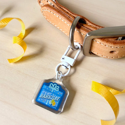 A close-up of a tan leather collar with a silver metal buckle and keyring, holding a small gift-tag-shaped blue tag that reads 'IT'S MY BIRTHDAY.' Yellow ribbon curls are placed on a light wood surface around the product.