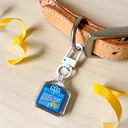 A close-up of a tan leather collar with a silver metal buckle and keyring, holding a small gift-tag-shaped blue tag that reads 'IT'S MY BIRTHDAY.' Yellow ribbon curls are placed on a light wood surface around the product.