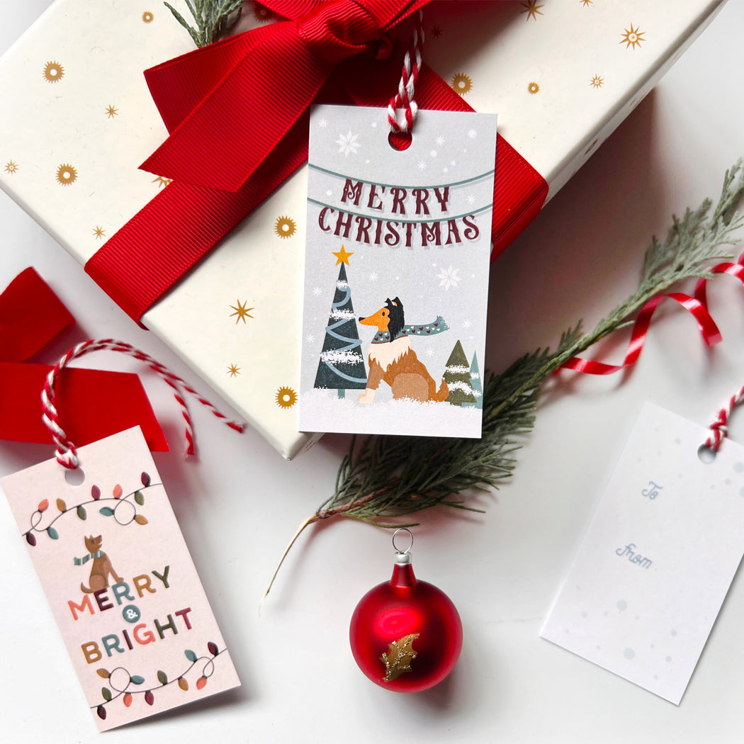 Decorative Christmas gift with red ribbon, 'Merry Christmas' tag, and small ornament on a white background.