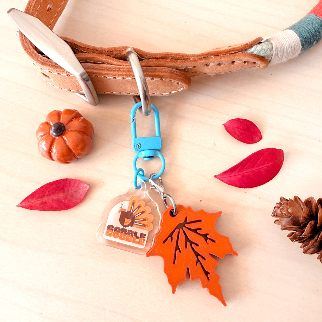 A close-up of a tan leather collar with a metal ring and keychain-style attachment. The attachment includes a bright blue carabiner, a clear acrylic tag with a pumpkin graphic and the text 'Gobble Gobble', and an orange leaf-shaped charm.