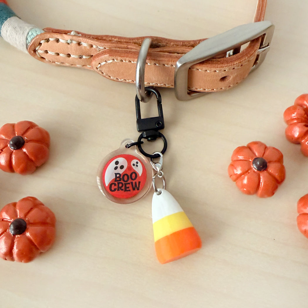 A Halloween-themed dog collar charm featuring a round clear acrylic disc with a cartoon ghost and the words 'BOO CREW' in black, paired with a candy corn charm, displayed on a tan leather dog collar. The scene is styled with small orange pumpkins on a light wood background.