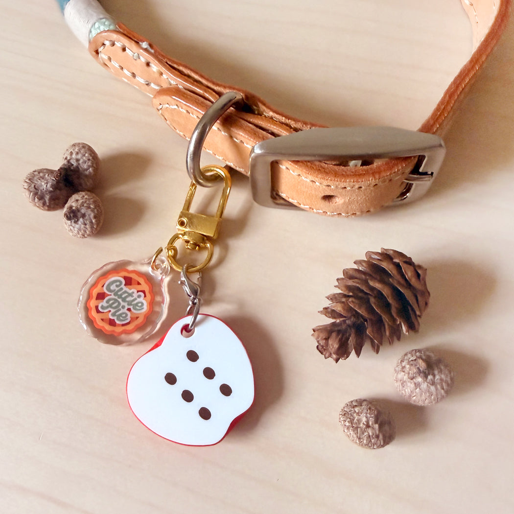 A tan leather dog collar with a silver buckle, decorated with a gold clasp holding a white bone-shaped tag and a clear round tag with an orange design. The scene is styled on a light wood surface with pinecones and small brown decorative objects.