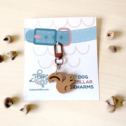 Cute squirrel charm for dog collars featuring a lightweight plastic design from the Poppy & Lou Charm Collection.