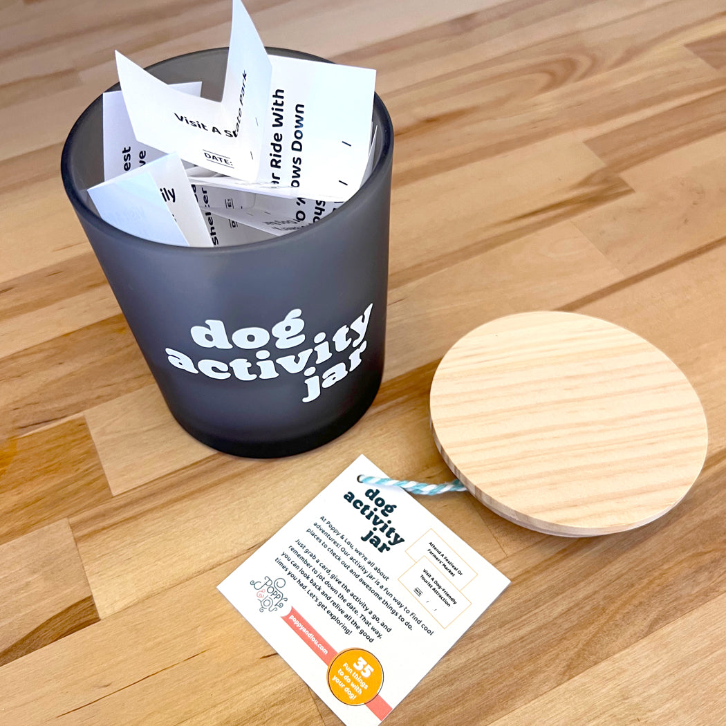 Dog Activity Jar with fun bonding ideas for dog owners and their pets.