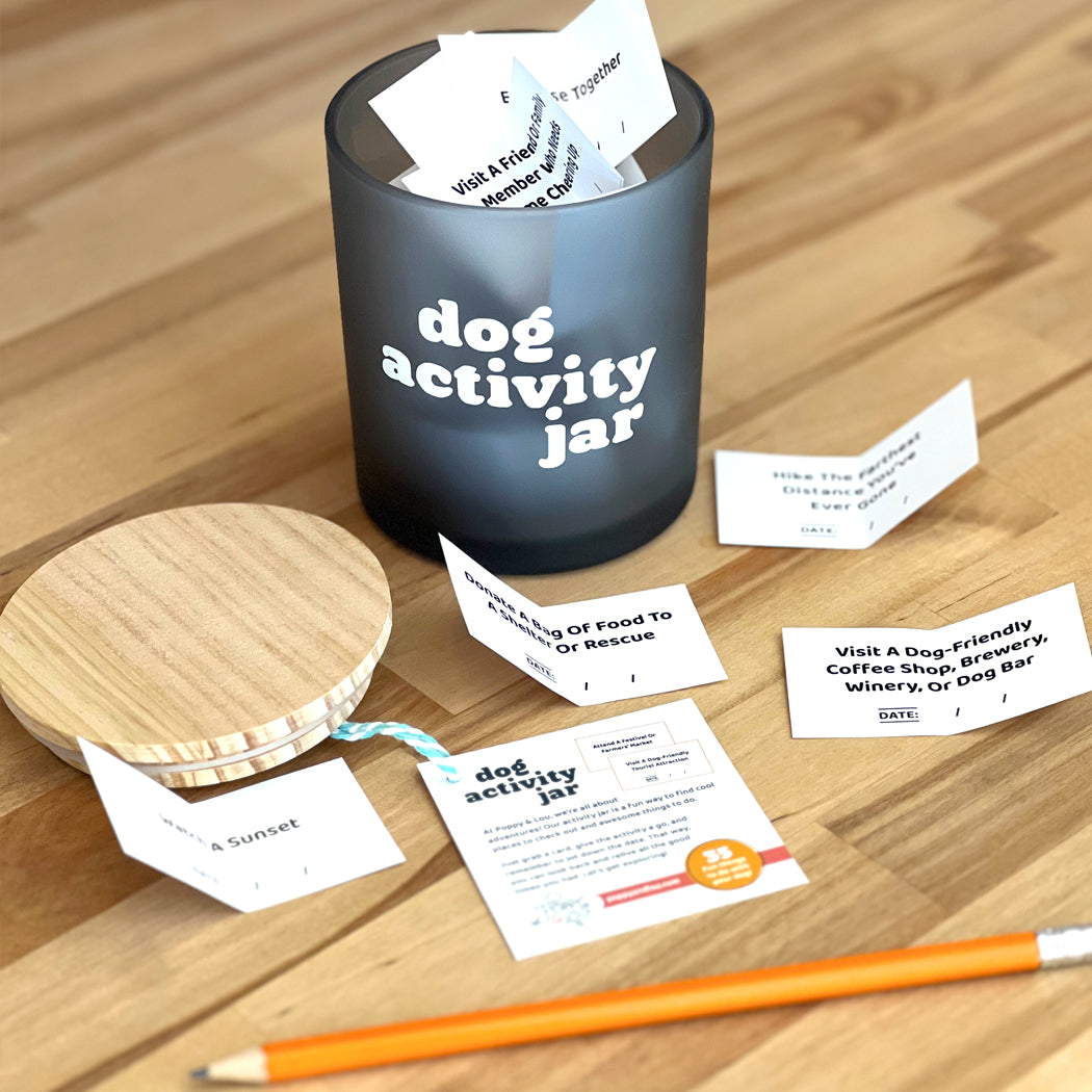 Dog Activity Jar with fun bonding ideas for dog owners and their pets.