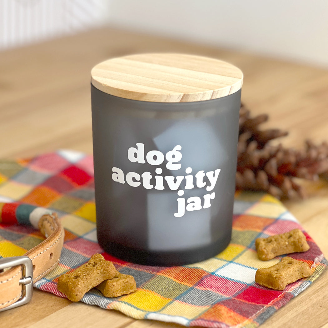 Dog Activity Jar with fun bonding ideas for dog owners and their pets.