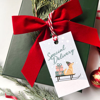 Gift box with a red ribbon and 'Special Delivery' tag featuring a dog and presents.